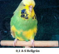 2011 002.png